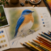 Desenho realista colorido de um pássaro em processo com lápis de cor e referência fotográfica